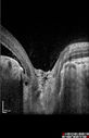 pitRD_evco_011217_15.jpg