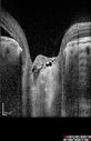 pitRD_evco_011217_19.jpg