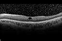 sickle_moda_102314_14.jpg