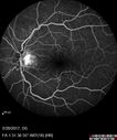 syph_arho_022817_14.jpg