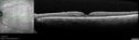 twigbrvo_hufr_011419_03.jpg