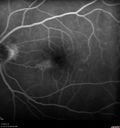 twigbrvo_hufr_011419_07.jpg