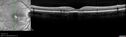 uaim2_brma_122017_000.jpg
