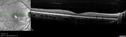 uaim2_brma_122017_001.jpg