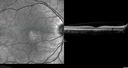 uaim_brma_121117_001001.jpg