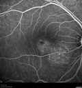uaim_brma_121117_006.jpg