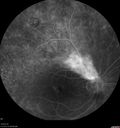 vhl_suad_020218_18.jpg