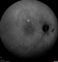 visit5_012413_prepdt_25.jpg