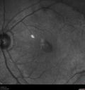 vmt_thri_02161202.jpg