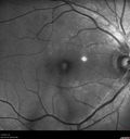 vmt_thri_02161203.jpg