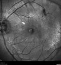 vmt_thri_02161204.jpg