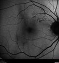 vmt_thri_02161205.jpg