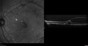 vmt_thri_02161210.jpg