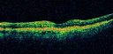 wetamd_63356_28329.jpg