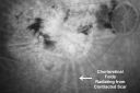 wetamdscarcrfolds_fldo13.jpg