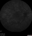 wnv_DM_rydo_081715_12.jpg