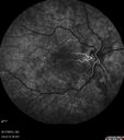 wnv_DM_rydo_081715_14.jpg