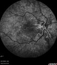 wnv_DM_rydo_081715_15.jpg