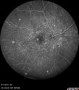wnv_DM_rydo_081715_26.jpg
