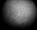 28001129d_deupree_6-13-2011.jpg