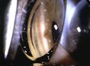 DKL9857_96_04.jpg