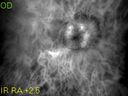 WATKINS_LOUIS_02-10-2012_4.jpg
