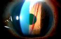 24050_004_PNG.jpg