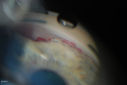 338_007.JPG