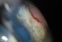 338_011.JPG