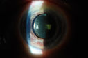 49295_003.JPG