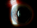 49295_006.JPG