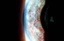 49295_008.JPG