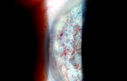 49295_009.JPG
