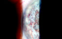 49295_010.JPG