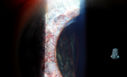49295_012.JPG