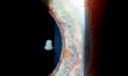 49295_013.JPG