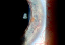 49295_015.JPG