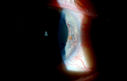49295_017.JPG