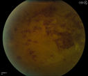 49448_014.JPG