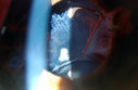 49477_014.JPG