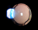 49561_005.JPG