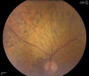 Filename=49637_026.JPG
Filesize=4138KiB
Dimensions=2392x2048
Date added=Mar 28, 2013 49637_026.JPG