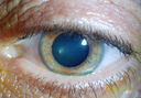 49822_005.JPG