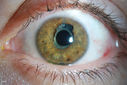 50030_002.JPG
