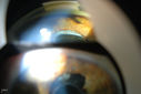 50030_008.JPG