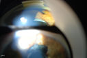50030_009.JPG