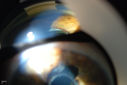 50030_010.JPG