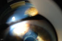 50030_012.JPG