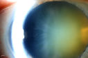 50826_011.JPG