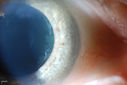 51077_005.JPG
